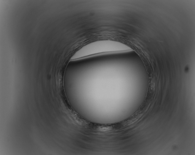 X0000094970283200711291145