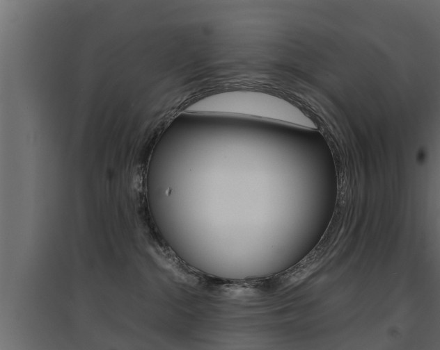 X0000094970284200711291145