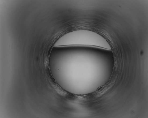 X0000094970285200711291145