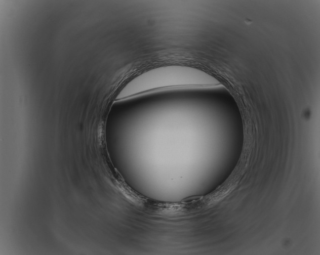 X0000094970288200711291145