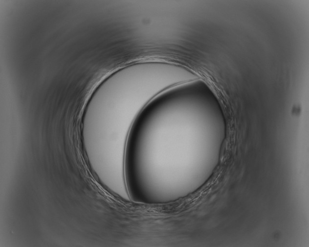 X0000094970289200711291144