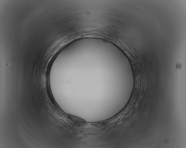 X0000094970290200711291144