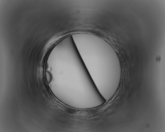 X0000094970294200711291144