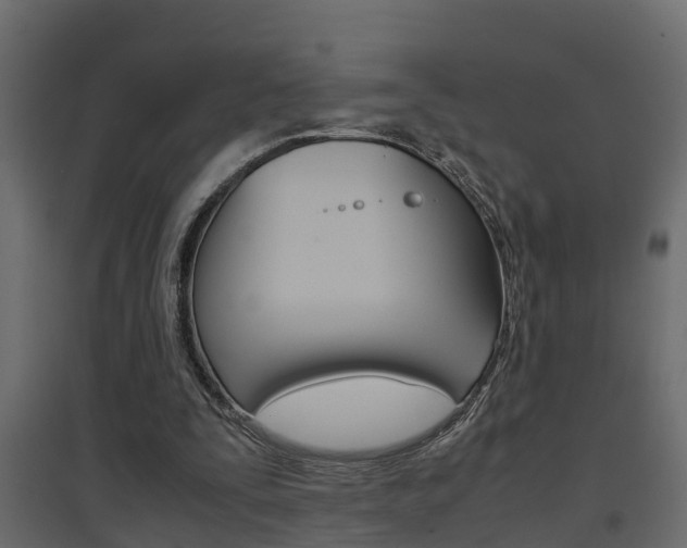X0000094970295200711291144
