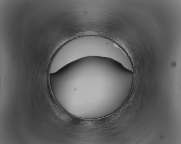 X0000094970297200711291144