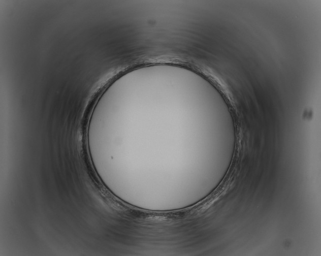 X0000094970298200711291144