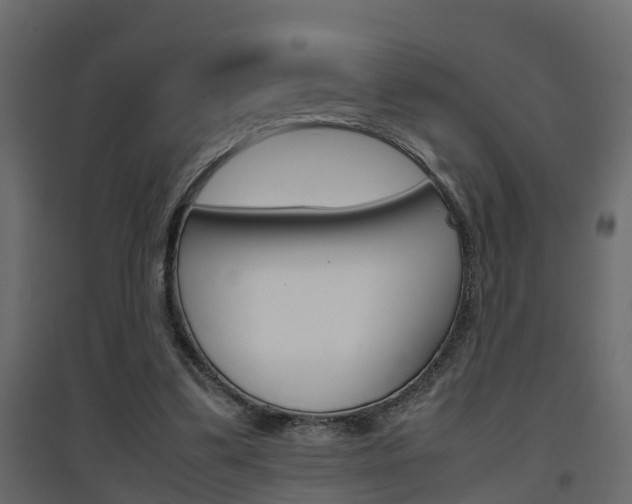 X0000094970299200711291144