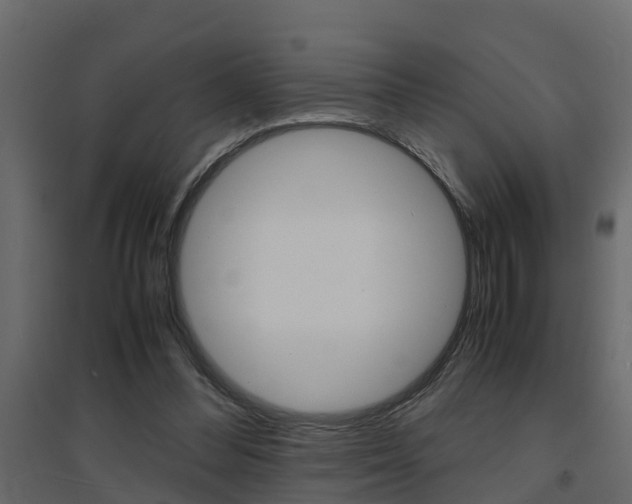 X0000094970300200711291144