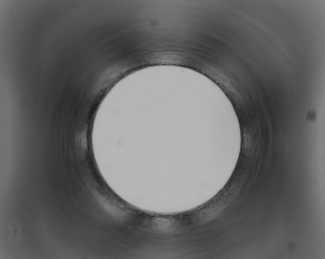 X0000094970302200711291144