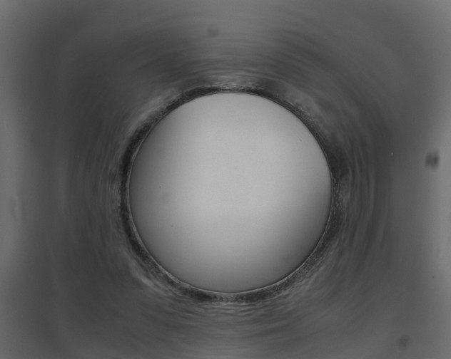 X0000094970303200711291144