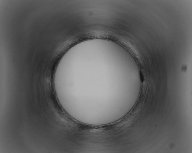 X0000094970306200711291144