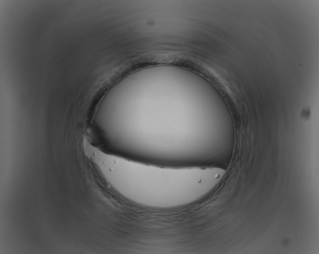 X0000094970307200711291144