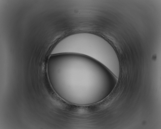 X0000094970308200711291144