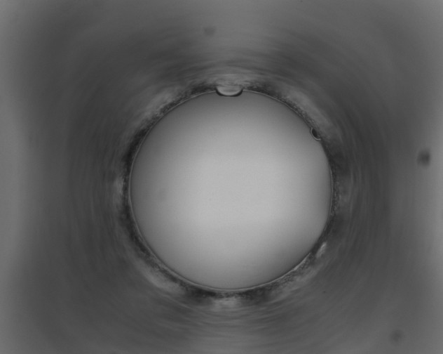 X0000094970309200711291144