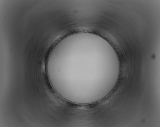 X0000094970310200711291144
