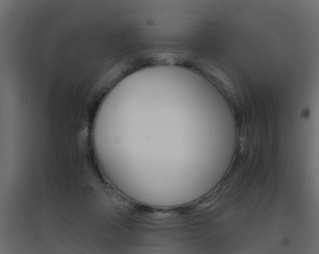 X0000094970314200711291144