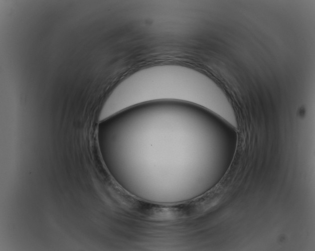 X0000094970316200711291144