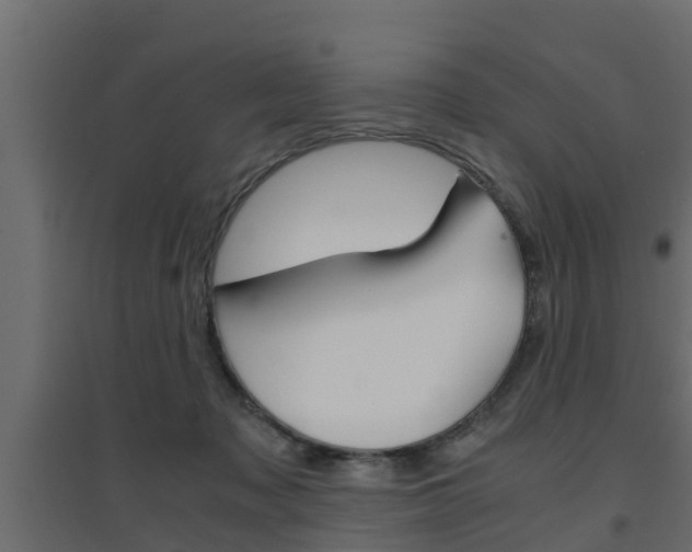 X0000094970317200711291144