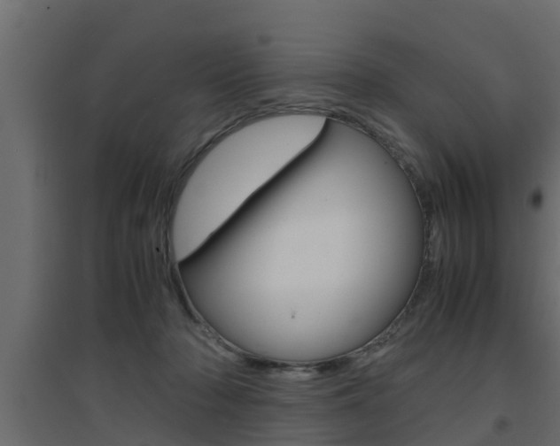 X0000094970318200711291144
