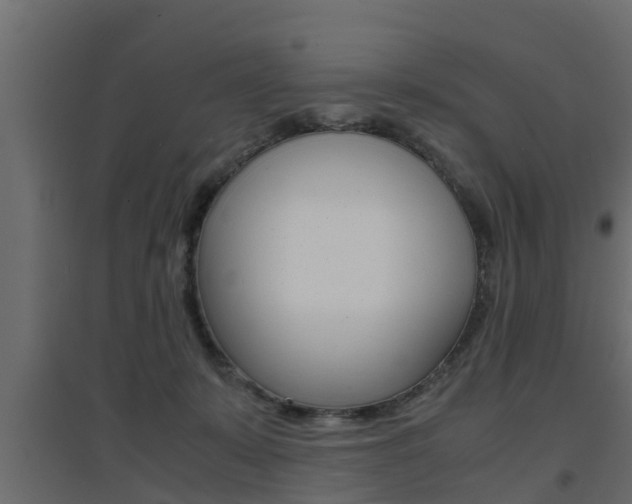 X0000094970319200711291144