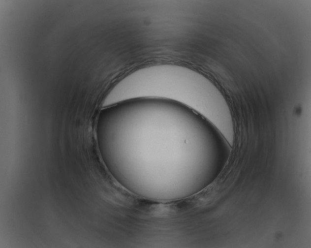 X0000094970320200711291144