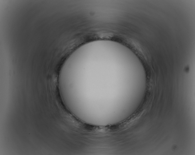 X0000094970321200711291144