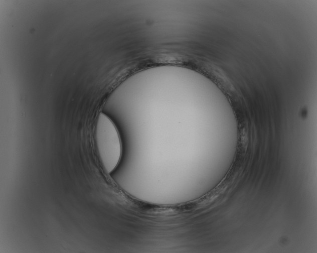 X0000094970322200711291144