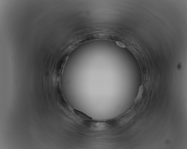 X0000094970324200711291144