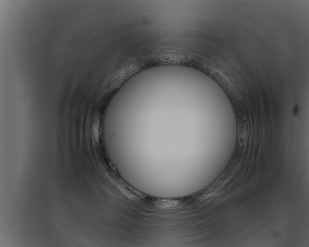 X0000094970334200711291144
