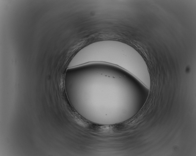 X0000094970335200711291144