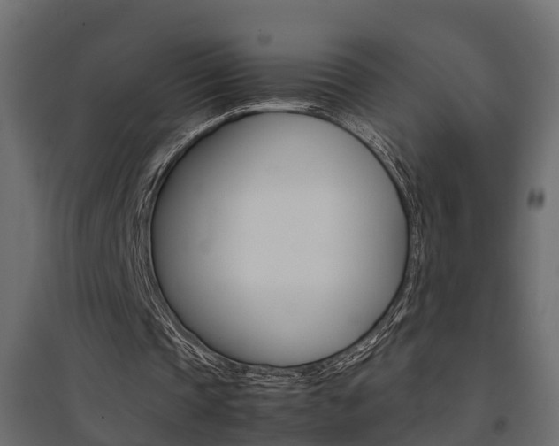 X0000094970337200711291143