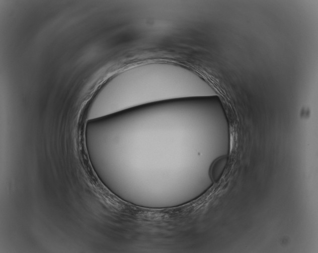 X0000094970339200711291143