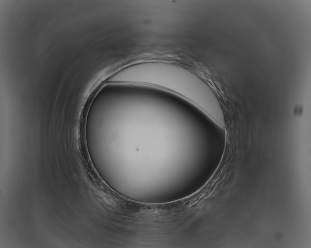 X0000094970340200711291143