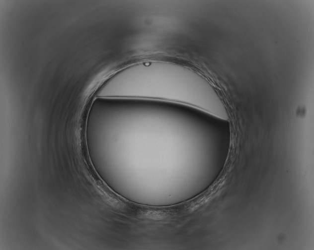 X0000094970341200711291143