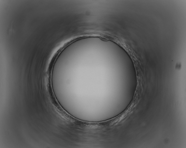 X0000094970342200711291143