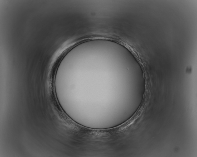 X0000094970343200711291143