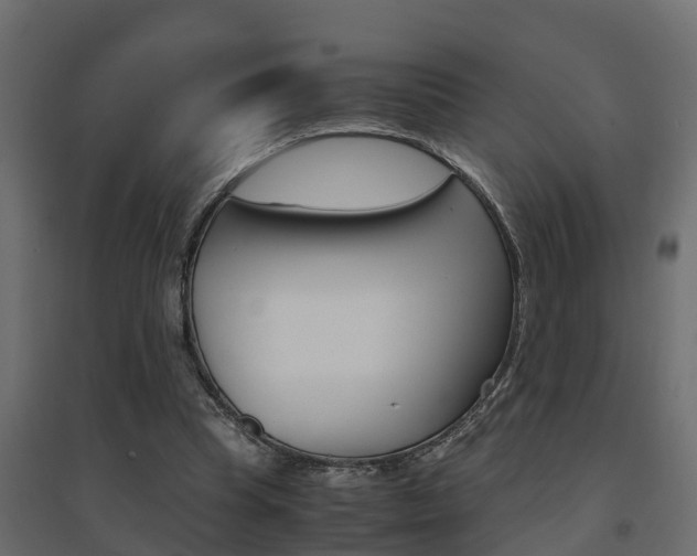 X0000094970345200711291143