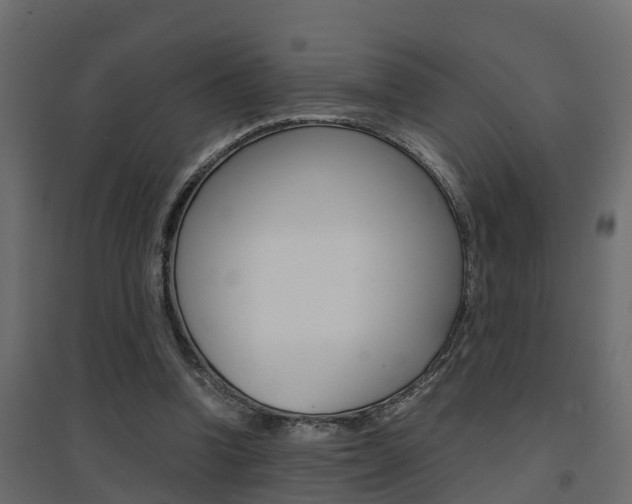 X0000094970346200711291143