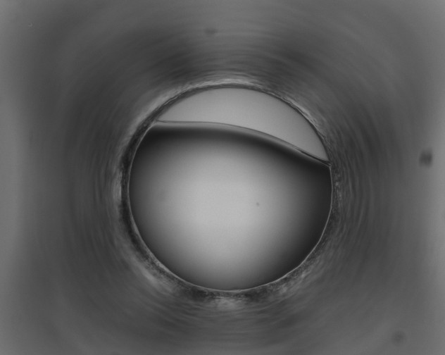 X0000094970350200711291143