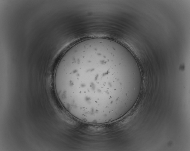 X0000094970351200711291143