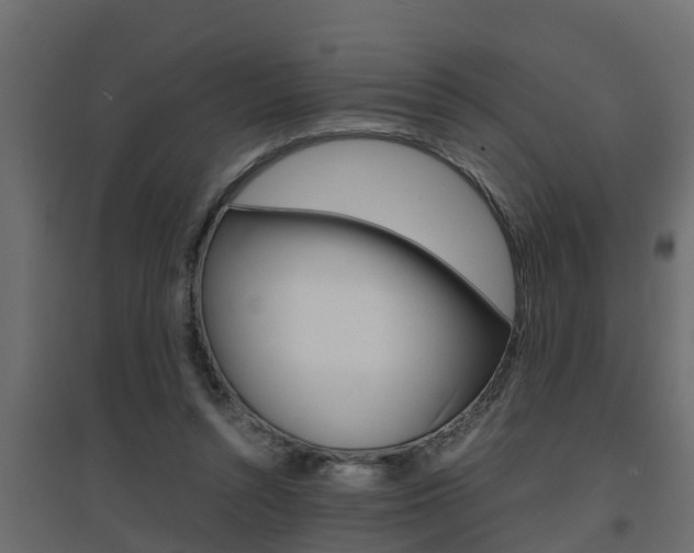 X0000094970352200711291143