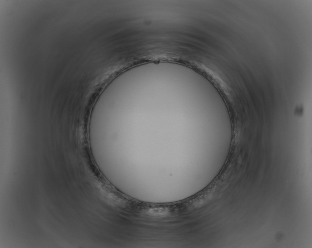 X0000094970353200711291143