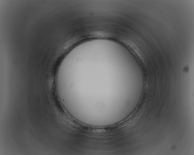X0000094970355200711291143