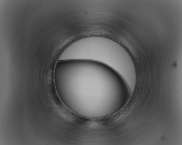 X0000094970356200711291143
