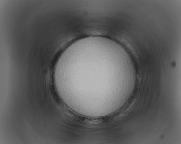X0000094970359200711291143