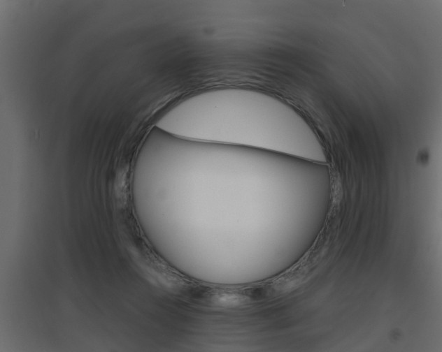 X0000094970360200711291143