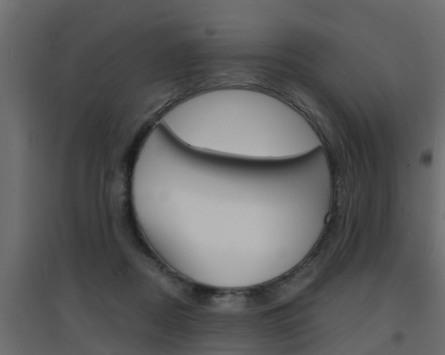 X0000094970362200711291143