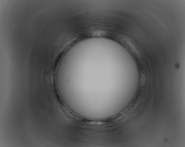 X0000094970363200711291143