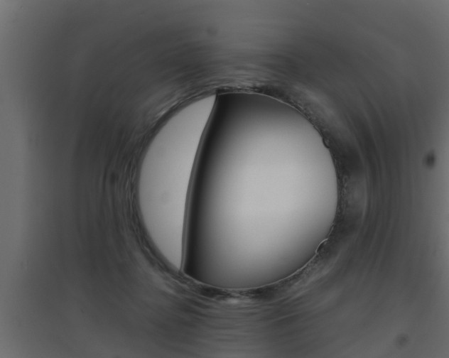 X0000094970364200711291143