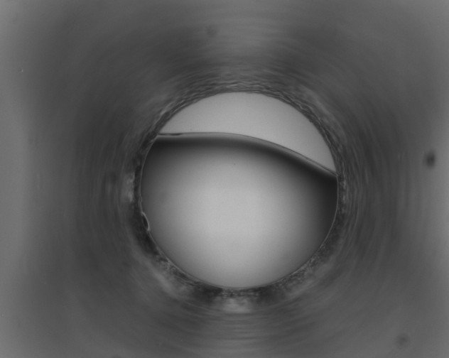 X0000094970368200711291144